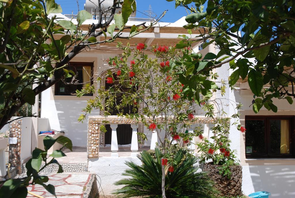 Villa Italiana Amoudara  Esterno foto