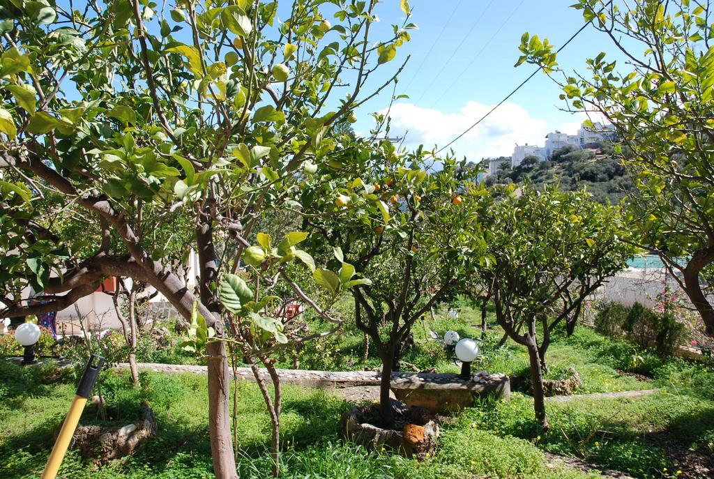 Villa Italiana Amoudara  Camera foto